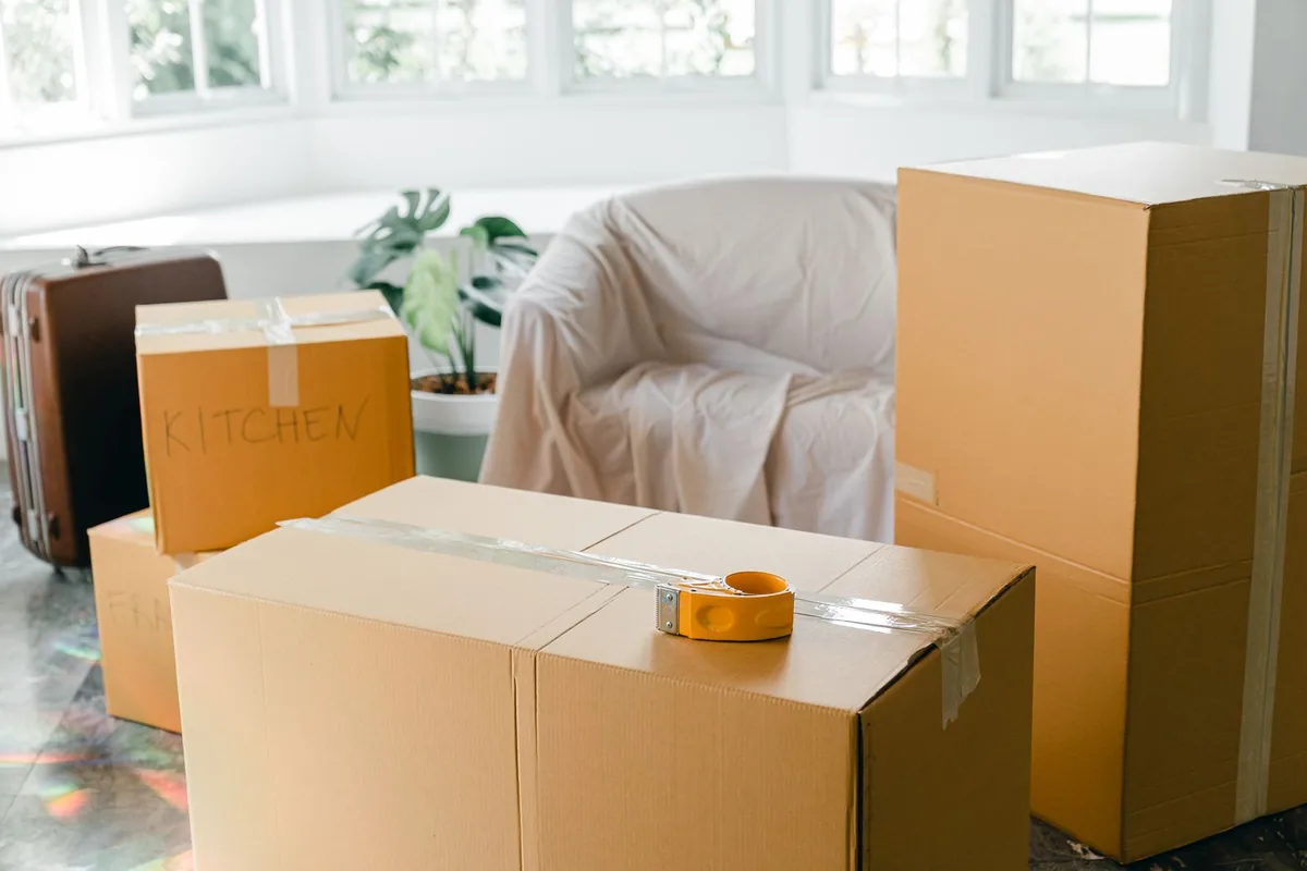 Hoarding Cleanup in Lake Euclid, St. Petersburg, FL